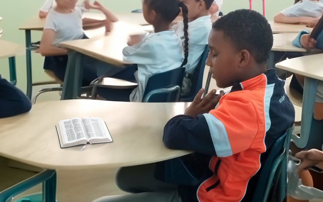 La docilidad de los pequeños